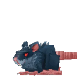 Чумной Грызун